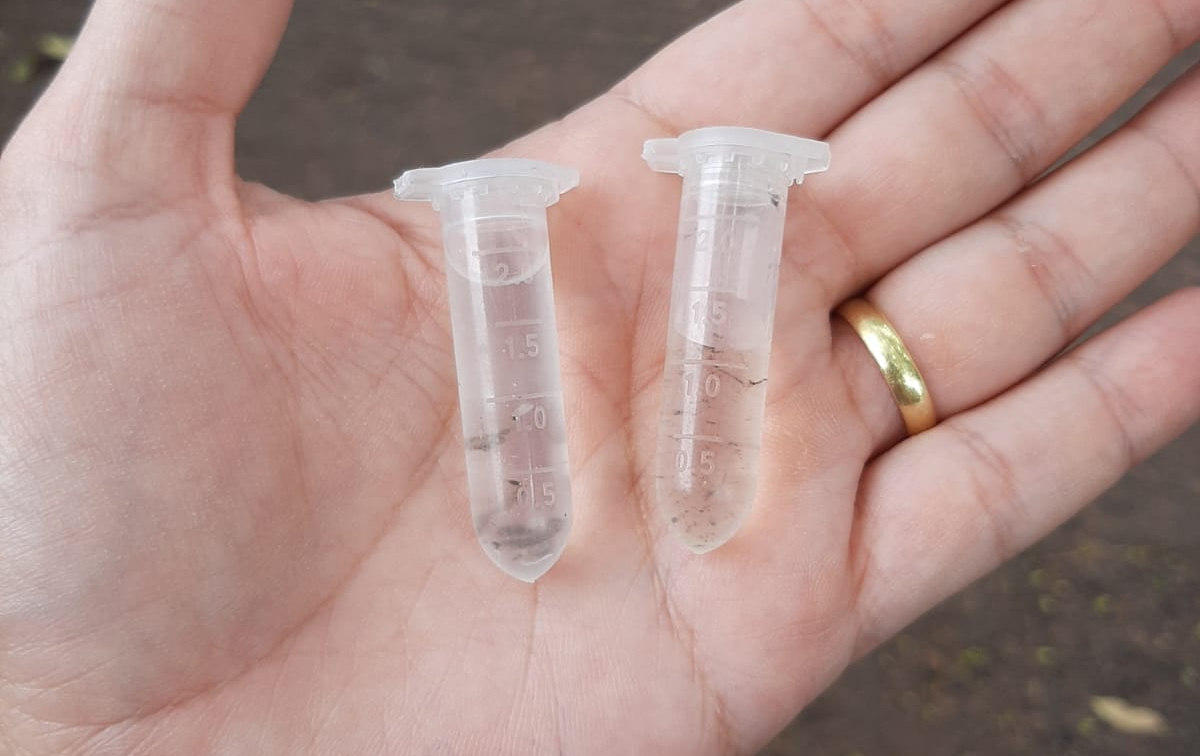 Foto da matéria Surto de dengue já atinge cinco regiões onde vivem cerca de 30 mil umuaramenses