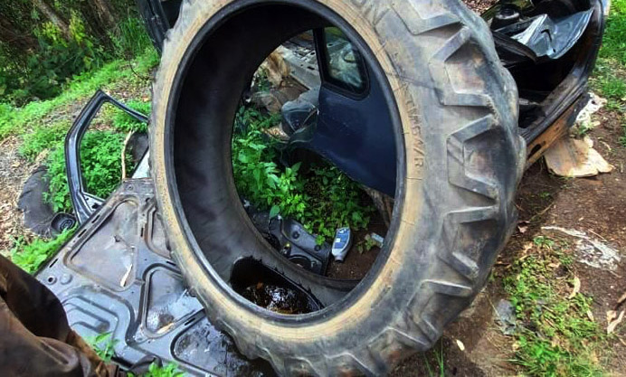 Foto da matéria Umuarama registra 104 casos de dengue em uma semana e já soma 347