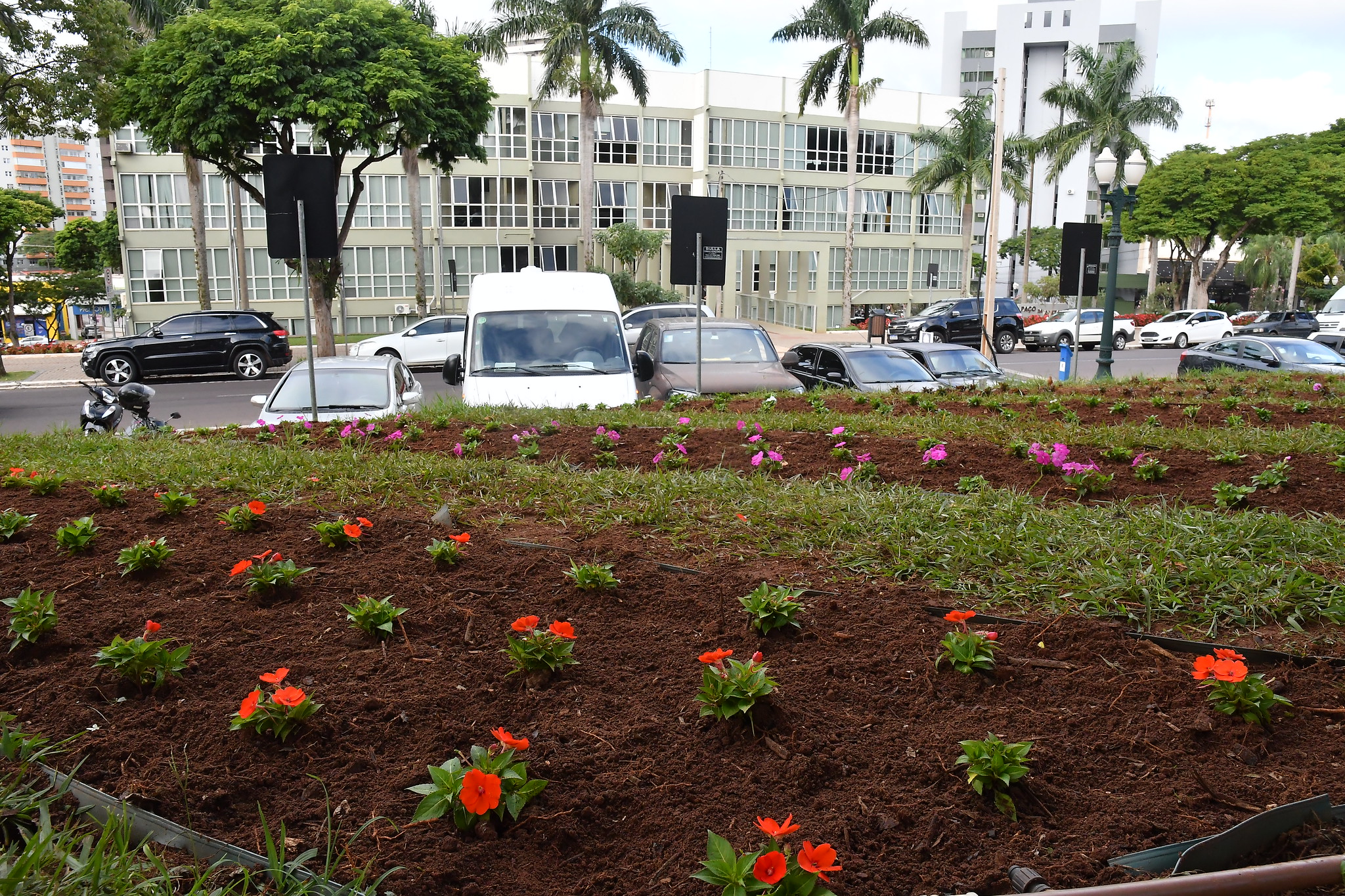 Foto da matéria Meio Ambiente reforma canteiros de flores na frente da Prefeitura