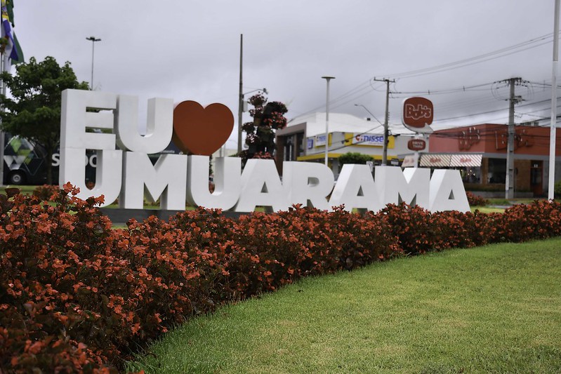 Foto da matéria Praças de Umuarama recebem mais de 8 mil mudas de flores para colorir o Natal