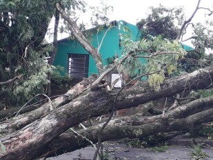 Tempestade causa estragos na região e distrito de Roberto Silveira foi o mais atingido