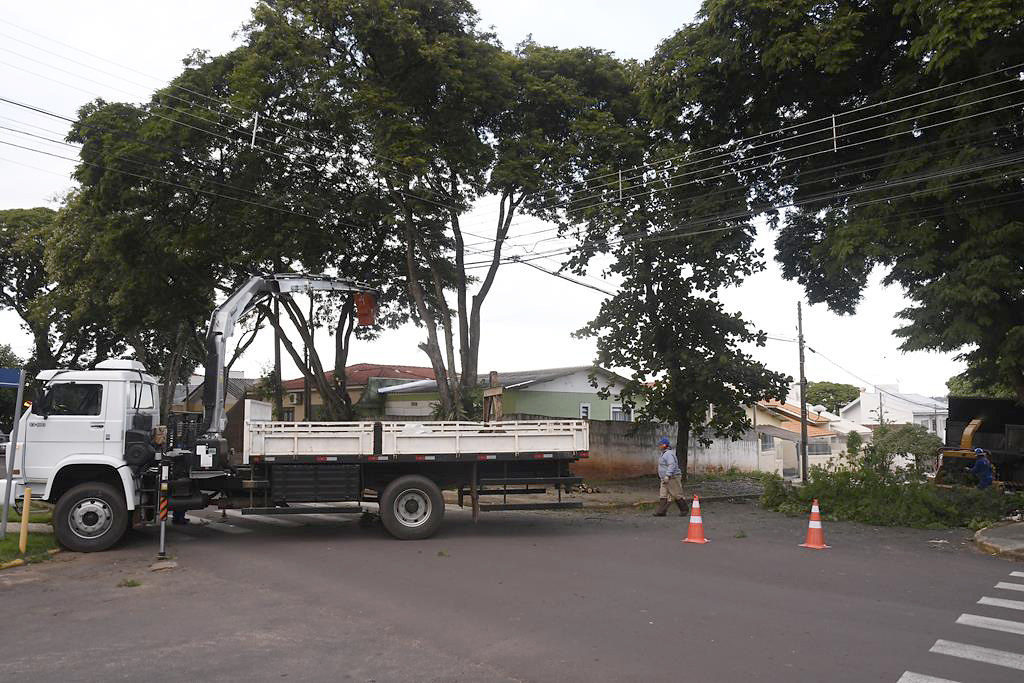 Foto da matéria Secretaria do Meio Ambiente agiliza atendimento a pedidos de corte e poda de árvores