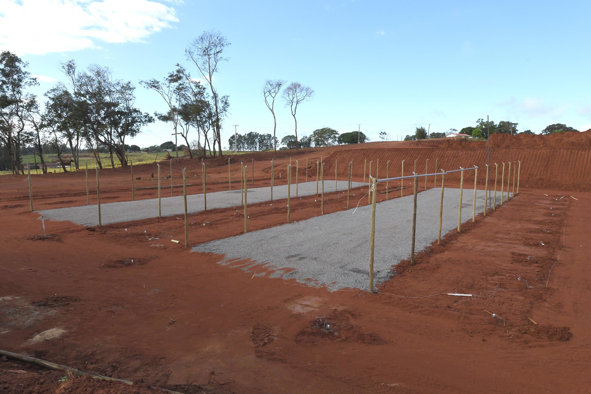 Foto da matéria Município vai implantar central de arborização e paisagismo